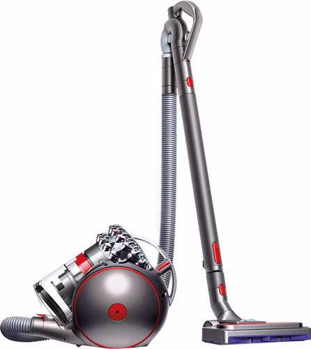 Dyson Cinetic Big Ball Animal Pro 2